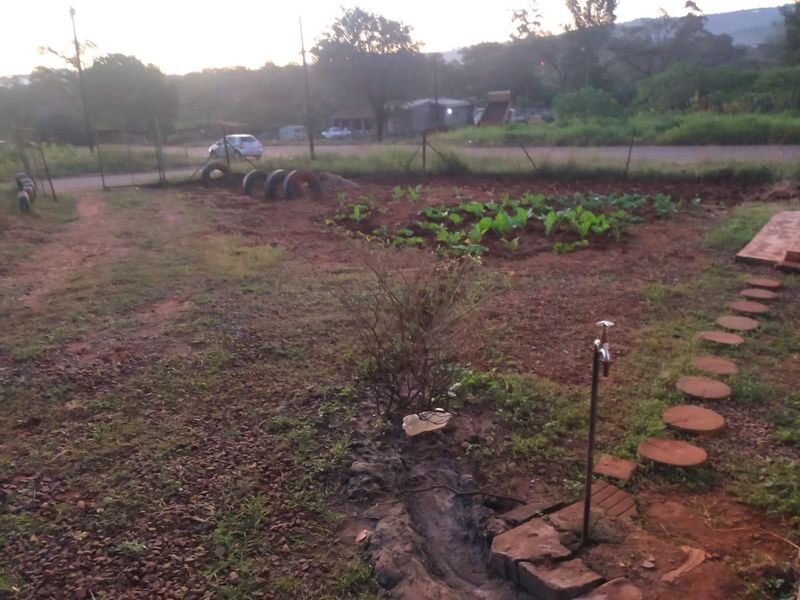 An outdoor garden area featuring a simple water tap, a stone pathway, and basic perimeter fencing with a vegetable patch.