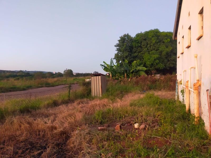 Rear exterior view of the property showing overgrown grounds, a small metal shed, and exposed exterior plumbing pipes along the building wall.