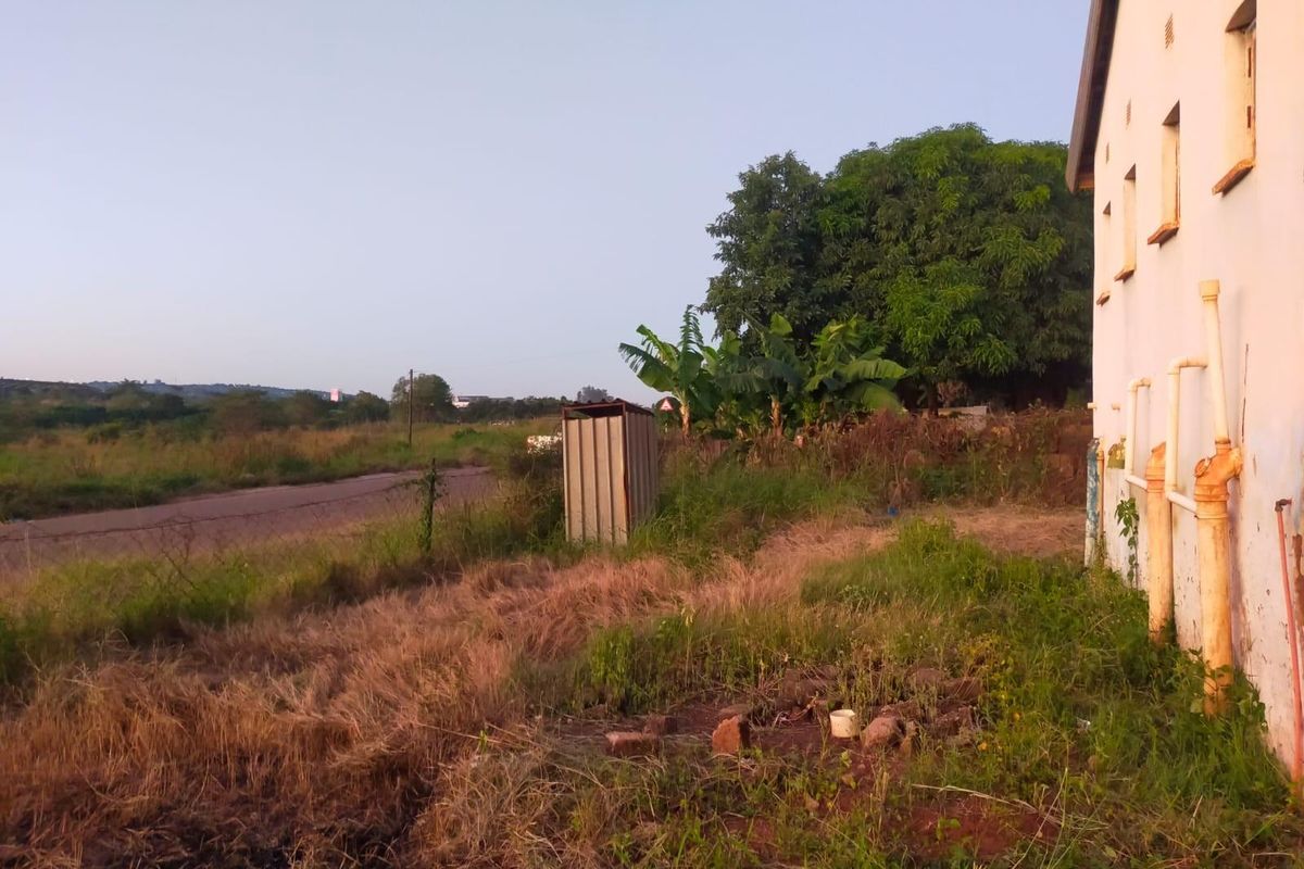Rear exterior view of the property showing overgrown grounds, a small metal shed, and exposed exterior plumbing pipes along the building wall.