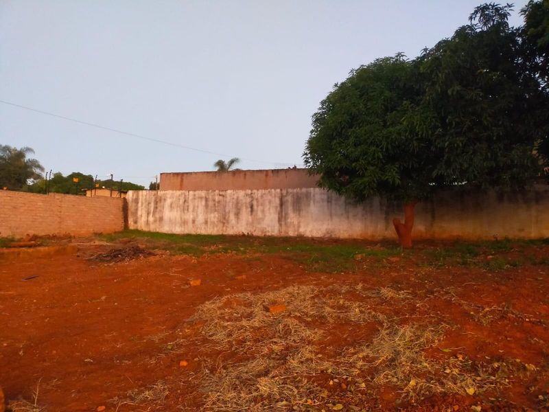 An expansive outdoor area featuring a perimeter wall with electric fencing and a large mature tree, offering significant potential for landscaping development.