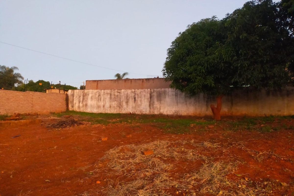 An expansive outdoor area featuring a perimeter wall with electric fencing and a large mature tree, offering significant potential for landscaping development.