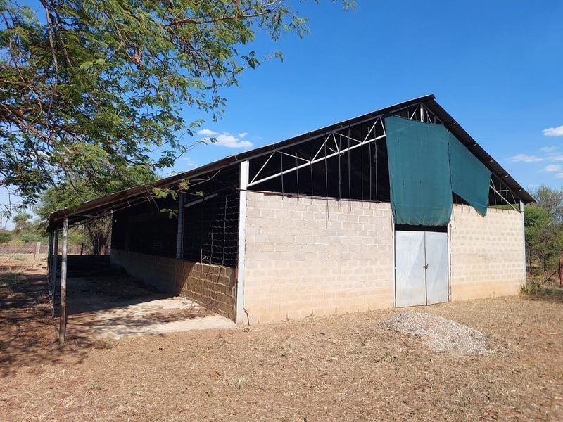 Riverside Smallholding with 4 bedroom house and Stores for Sale Bela Bela Limpopo - Photo 8