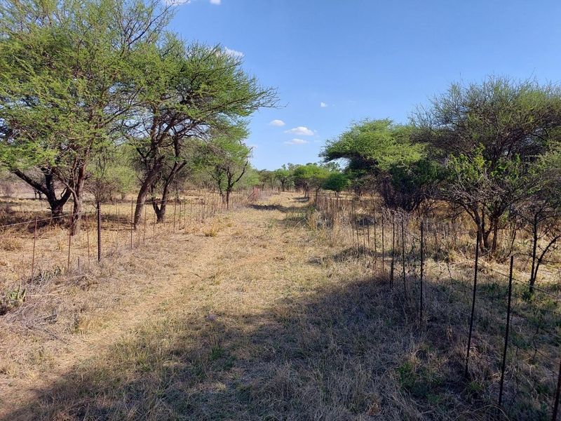 Riverside Smallholding with 4 bedroom house and Stores for Sale Bela Bela Limpopo - Photo 9