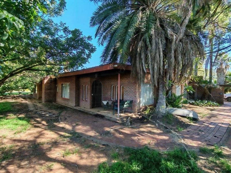 Riverside Smallholding with 4 bedroom house and Stores for Sale Bela Bela Limpopo - Photo 3