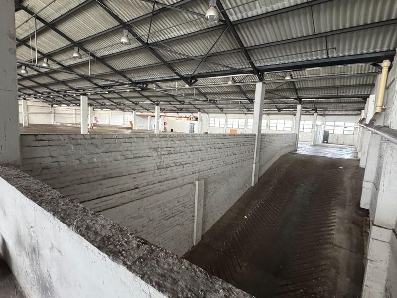 2,838m2 Industrial Property To Let in Paarden Eiland, Cape Town - Photo 3