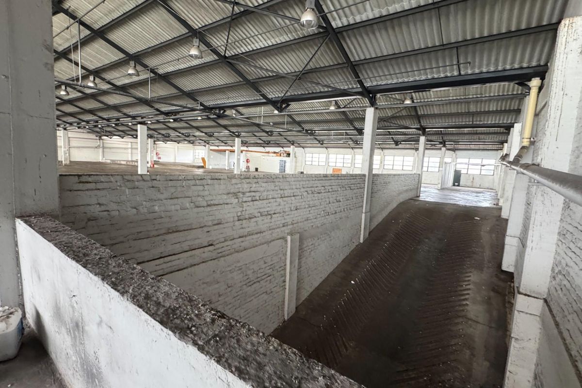 2,838m2 Industrial Property To Let in Paarden Eiland, Cape Town - Photo 3