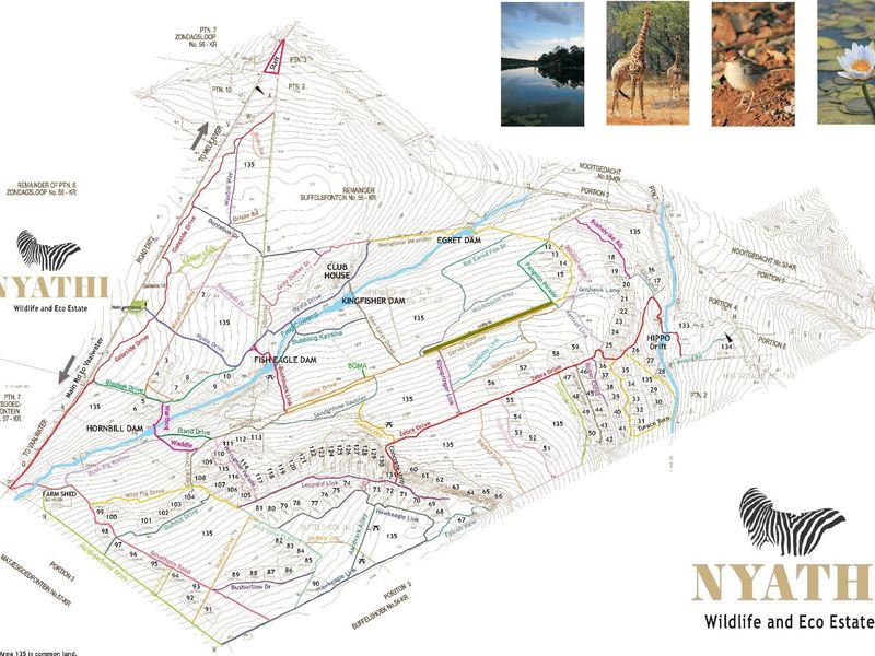 Exclusive 2-Hectare Bushveld Stand For Sale in Nyathi Wildlife Eco Estate, Vaalwater - Photo 3