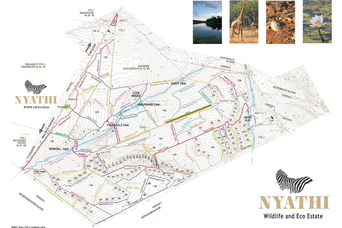 Exclusive 2-Hectare Bushveld Stand For Sale in Nyathi Wildlife Eco Estate, Vaalwater - Photo 3