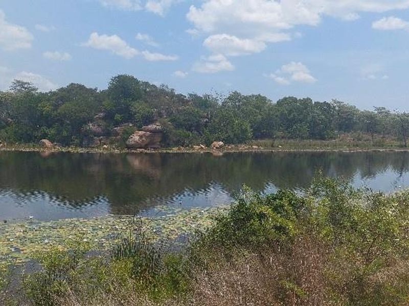 Exclusive 2-Hectare Bushveld Stand For Sale in Nyathi Wildlife Eco Estate, Vaalwater - Photo 5