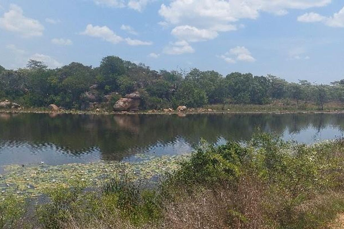 Exclusive 2-Hectare Bushveld Stand For Sale in Nyathi Wildlife Eco Estate, Vaalwater - Photo 5
