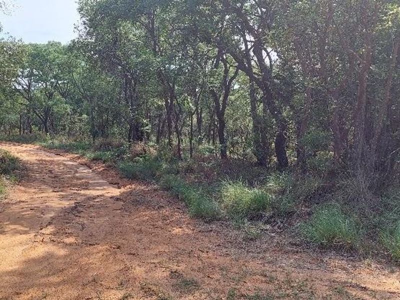 Exclusive 2-Hectare Bushveld Stand For Sale in Nyathi Wildlife Eco Estate, Vaalwater - Photo 7
