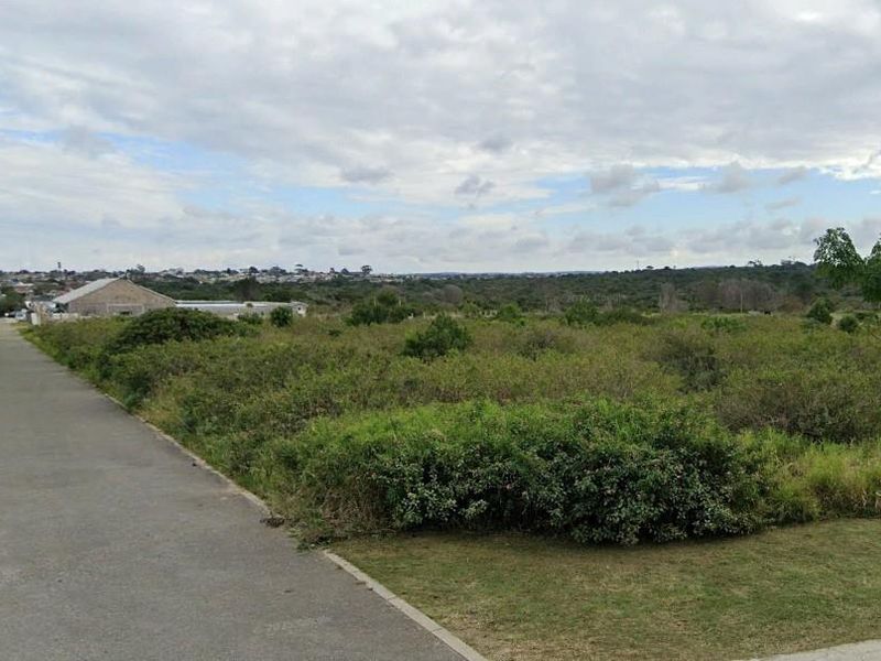 A view of a vacant agricultural plot adjacent to a paved road, featuring natural vegetation and surrounding landscape.