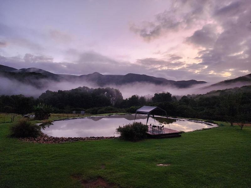 Own a Private Off-Grid Wilderness Sanctuary in the Heart of the Groendal Nature Reserve - Photo 4