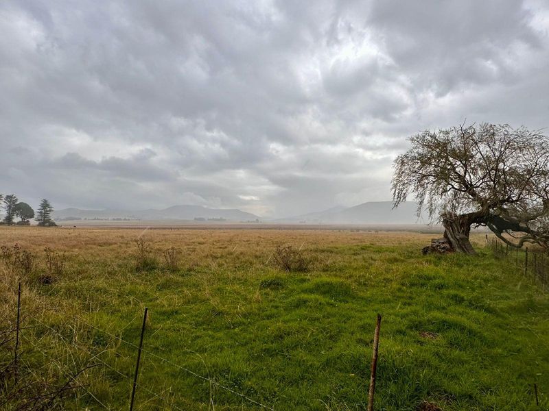 Expansive view of open vacant land featuring natural grassland, mature trees, and distant mountain ranges under a cloudy sky.