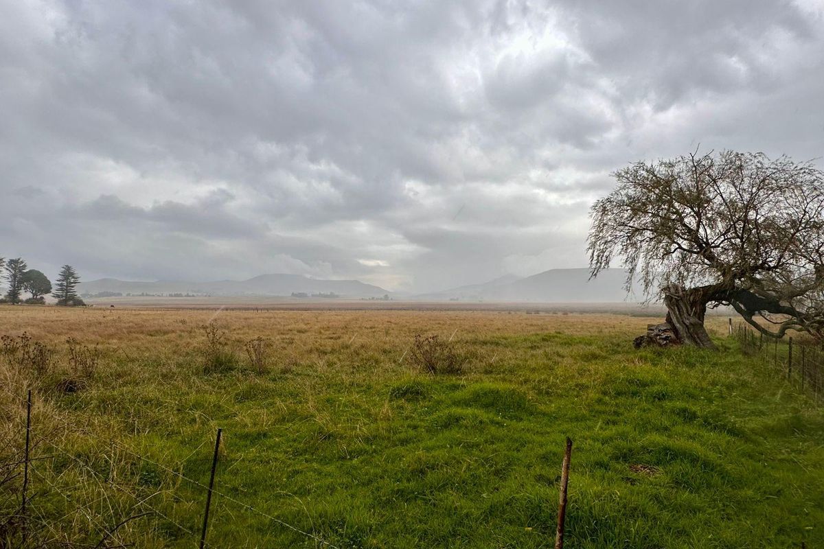 Expansive view of open vacant land featuring natural grassland, mature trees, and distant mountain ranges under a cloudy sky.