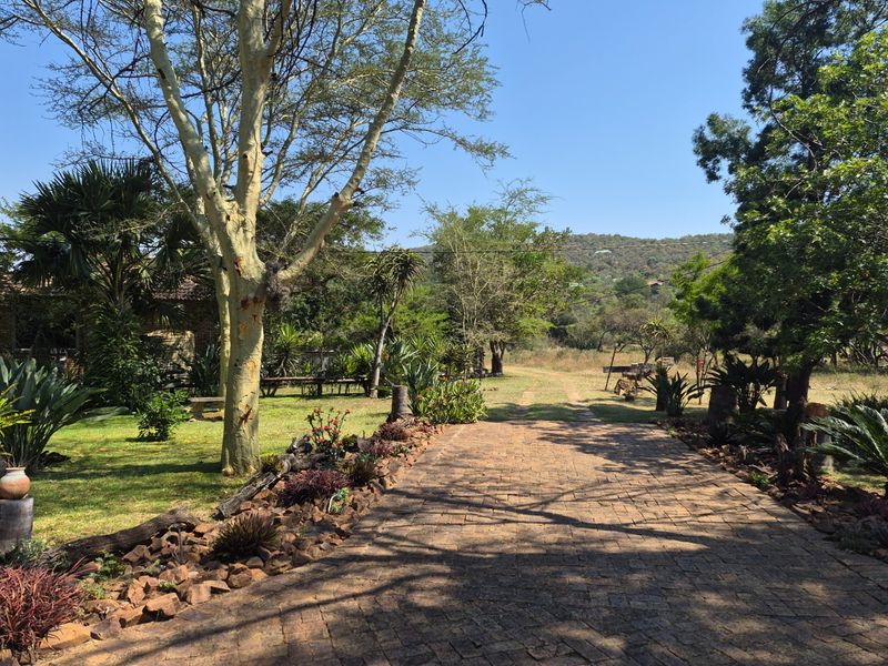 House Under Offer in Kranspoort Middelburg - Photo 10