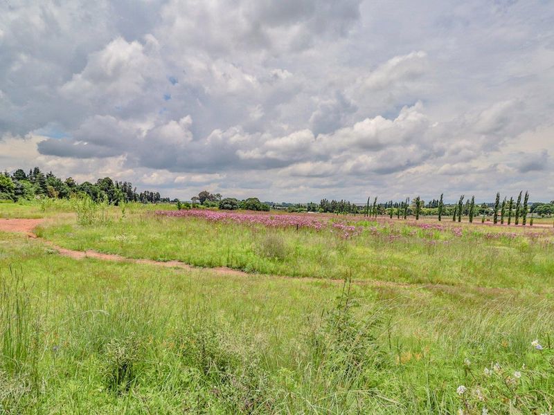 Vacant Land For Sale in Bredell Kempton Park - Photo 9