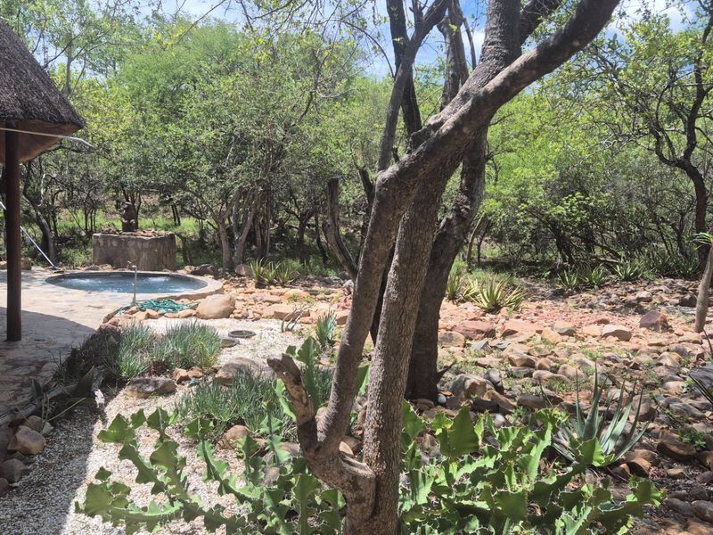 House, built on a 1 hectare plot, For Sale in Canyon Game Reserve, Hoedspruit - Photo 4