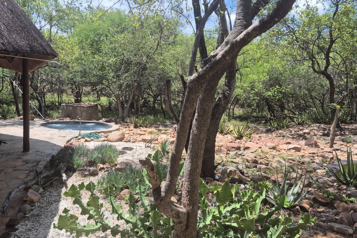House, built on a 1 hectare plot, For Sale in Canyon Game Reserve, Hoedspruit - Photo 4