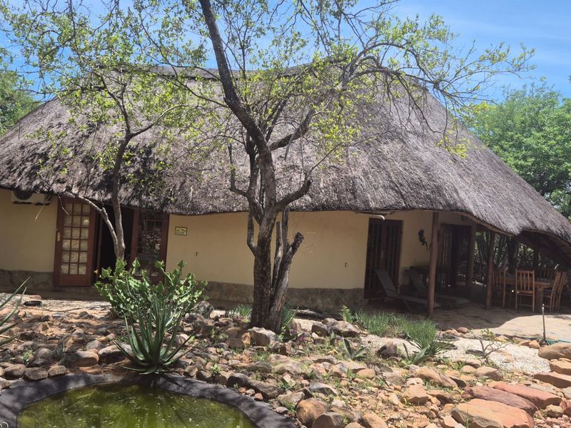 House, built on a 1 hectare plot, For Sale in Canyon Game Reserve, Hoedspruit - Photo 3