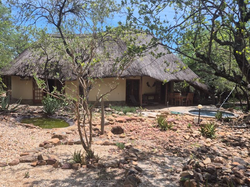 House, built on a 1 hectare plot, For Sale in Canyon Game Reserve, Hoedspruit - Photo 8