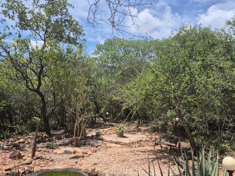 House, built on a 1 hectare plot, For Sale in Canyon Game Reserve, Hoedspruit - Photo 6