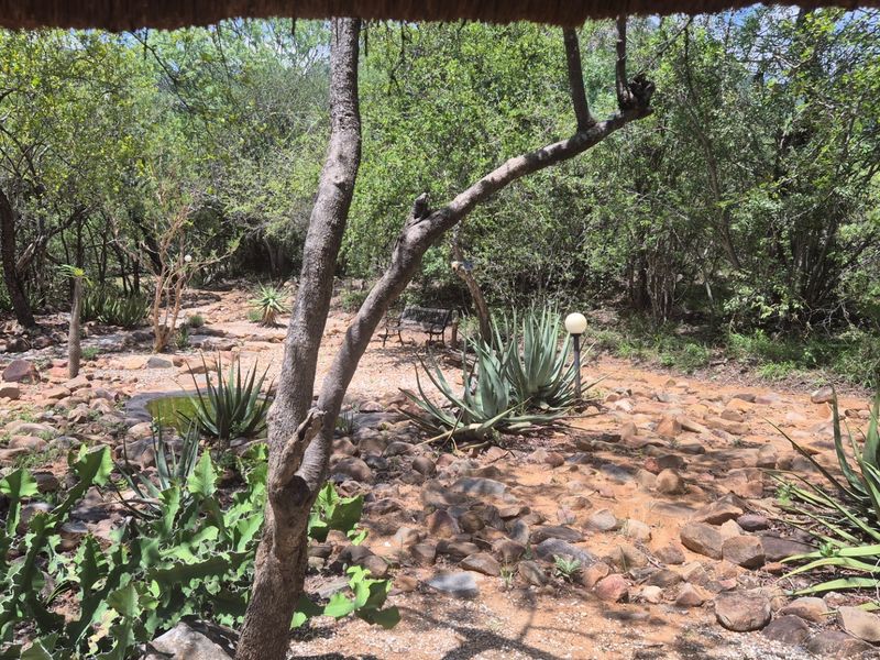 House, built on a 1 hectare plot, For Sale in Canyon Game Reserve, Hoedspruit - Photo 10