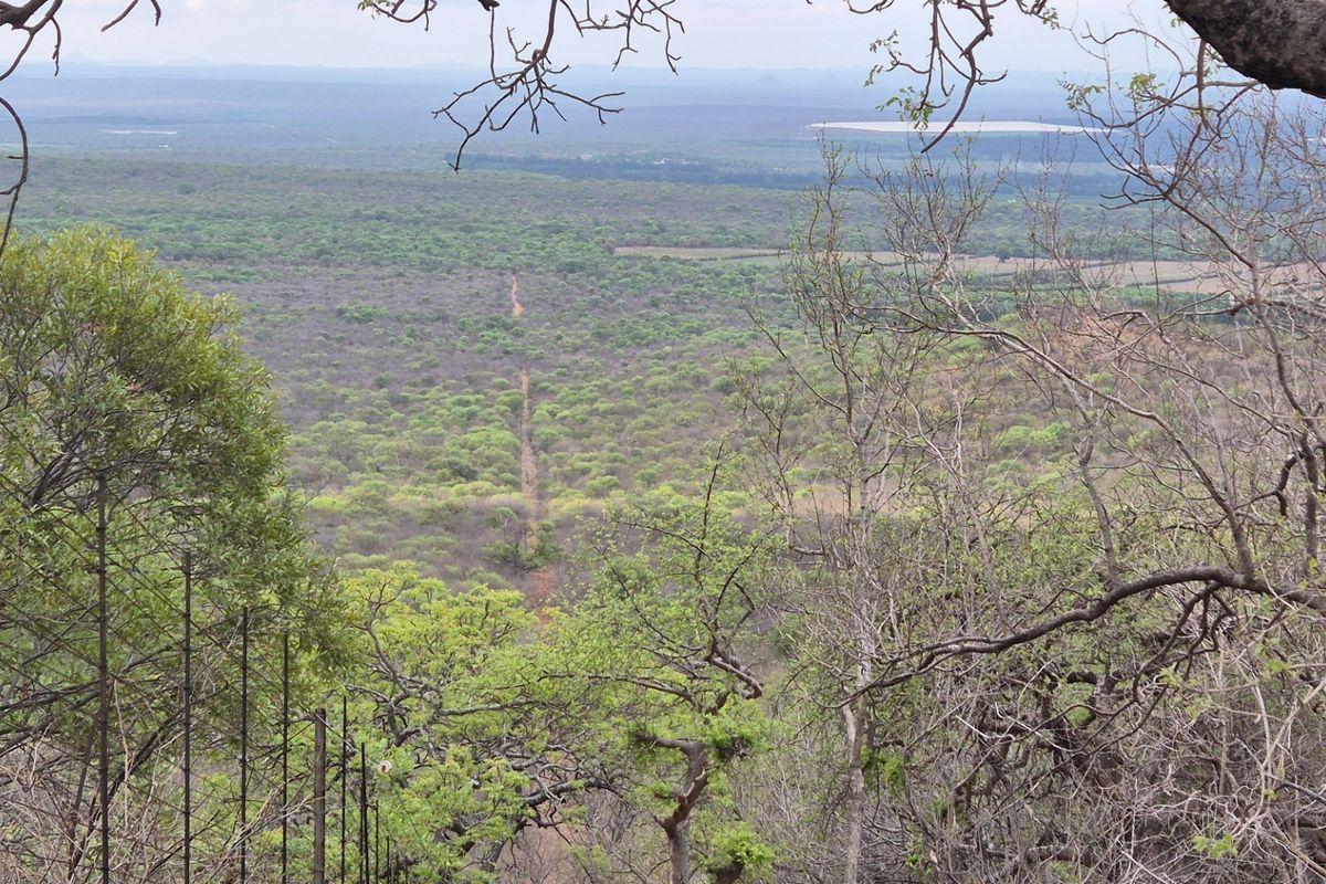 House, built on a 1 hectare plot, For Sale in Canyon Game Reserve, Hoedspruit - Photo 5