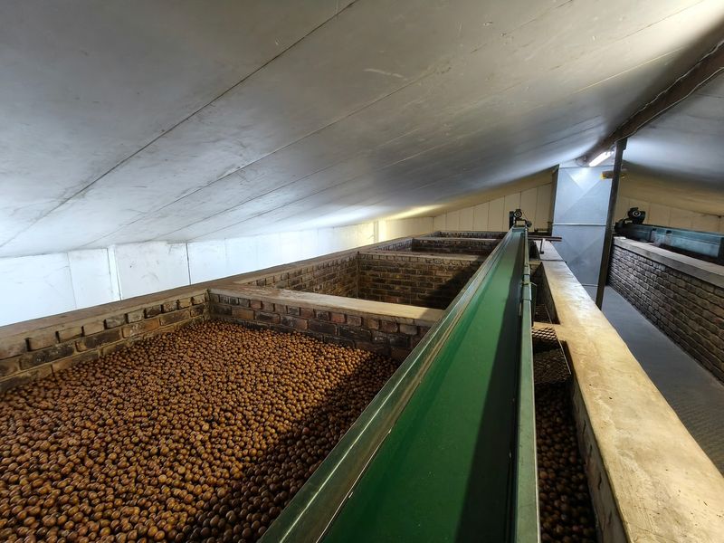 303ha Commercial Macadamia Farm For Sale - Photo 2