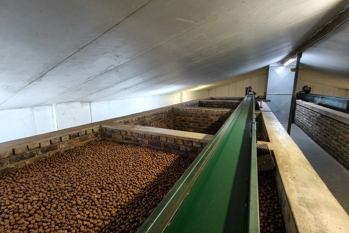 303ha Commercial Macadamia Farm For Sale - Photo 2