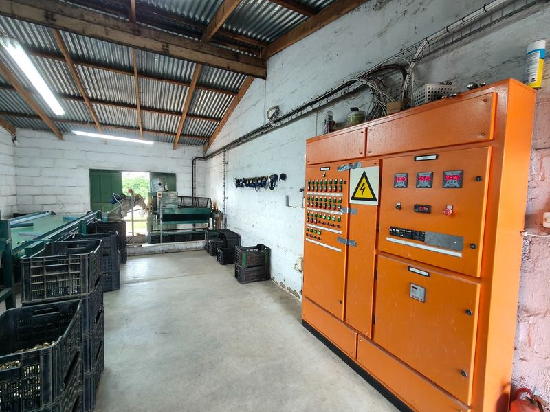 303ha Commercial Macadamia Farm For Sale - Photo 9