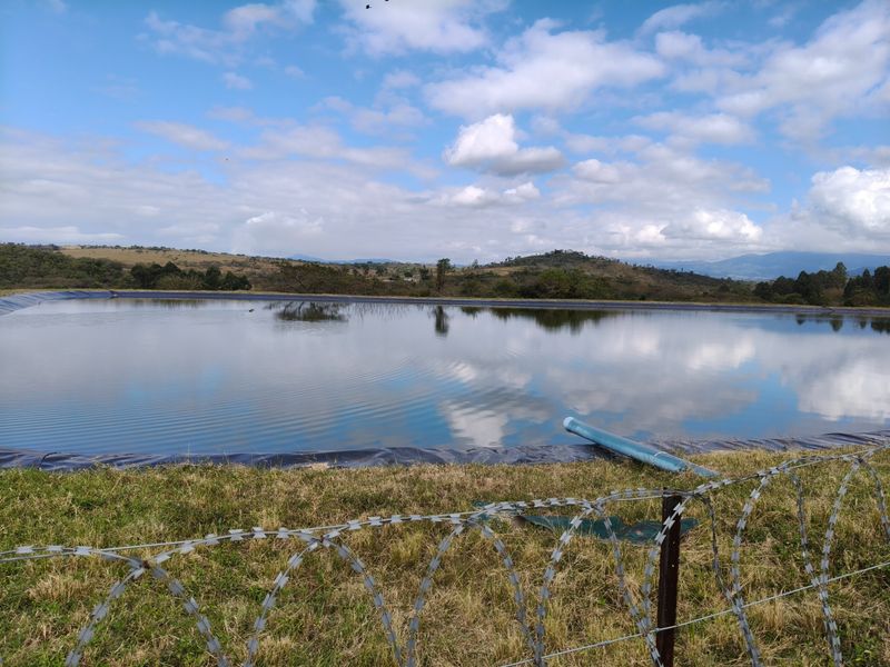 303ha Commercial Macadamia Farm For Sale - Photo 10