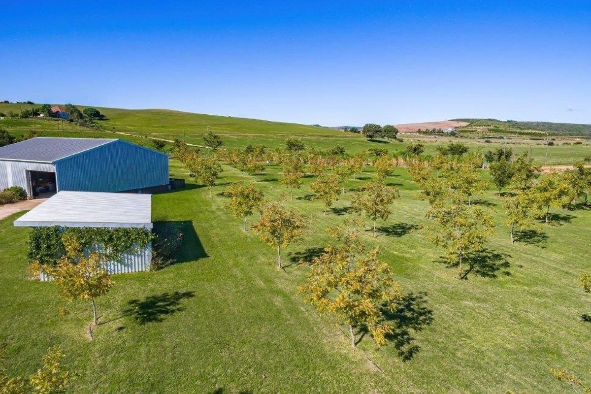 Farm For Sale in Riversdale Rural, Riversdale - Photo 5