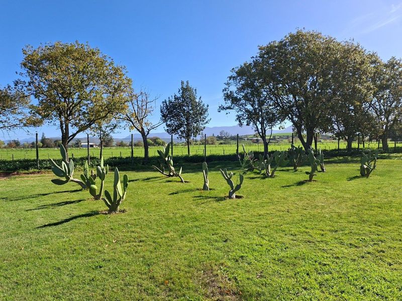 A well-maintained open garden area on the farm property featuring established trees, manicured lawn, and mountain views in the distance.