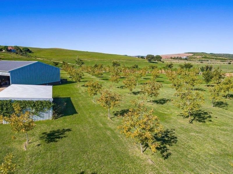 Aerial view of a farm property featuring a large metal shed, a smaller outbuilding, and an established orchard set within expansive green fields.
