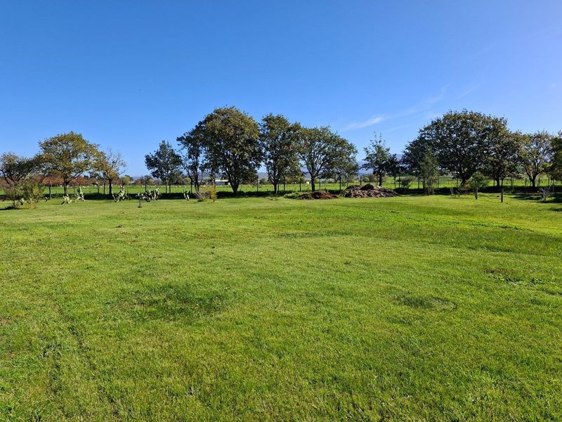 A wide, open grassy field on the farm property, featuring mature trees and a clear view of the surrounding landscape.