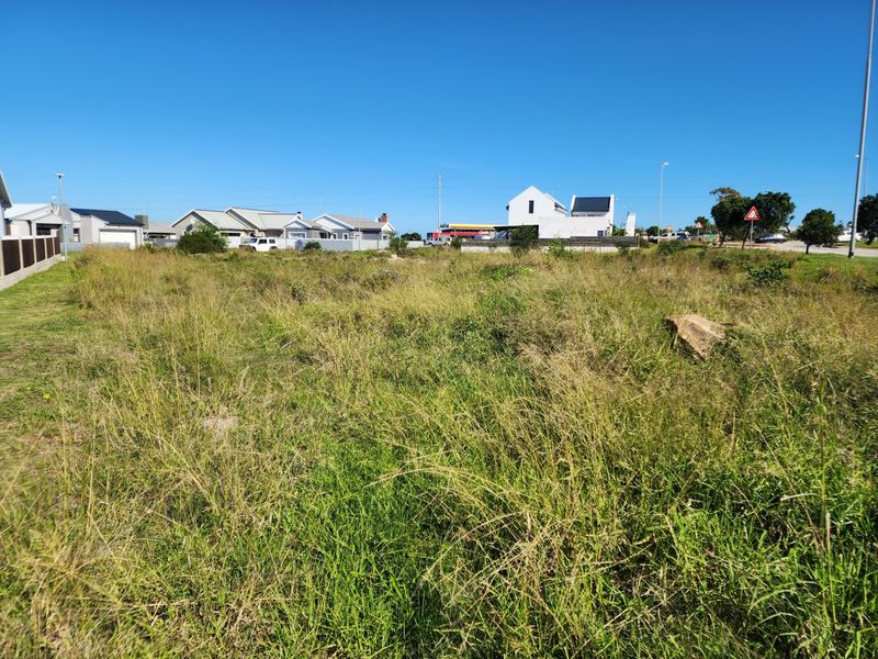 A vacant residential plot covered in natural grass, situated in a developed neighborhood with surrounding residential properties.