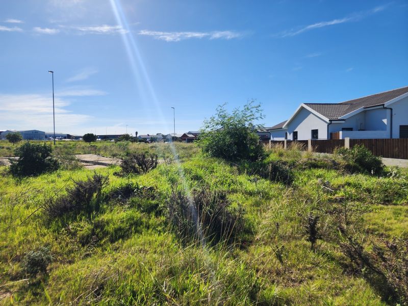 A vacant residential plot featuring natural vegetation, situated in a developed neighborhood with adjacent housing and street lighting infrastructure.