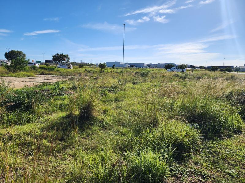 A vacant residential plot featuring natural grass coverage and an existing concrete slab, situated in an open development area.