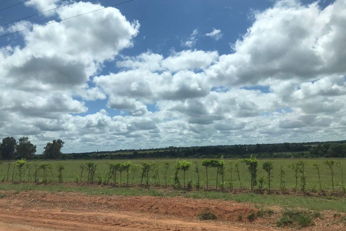 Vacant Land For Sale in Lusthof Hammanskraal Gauteng - Photo 2