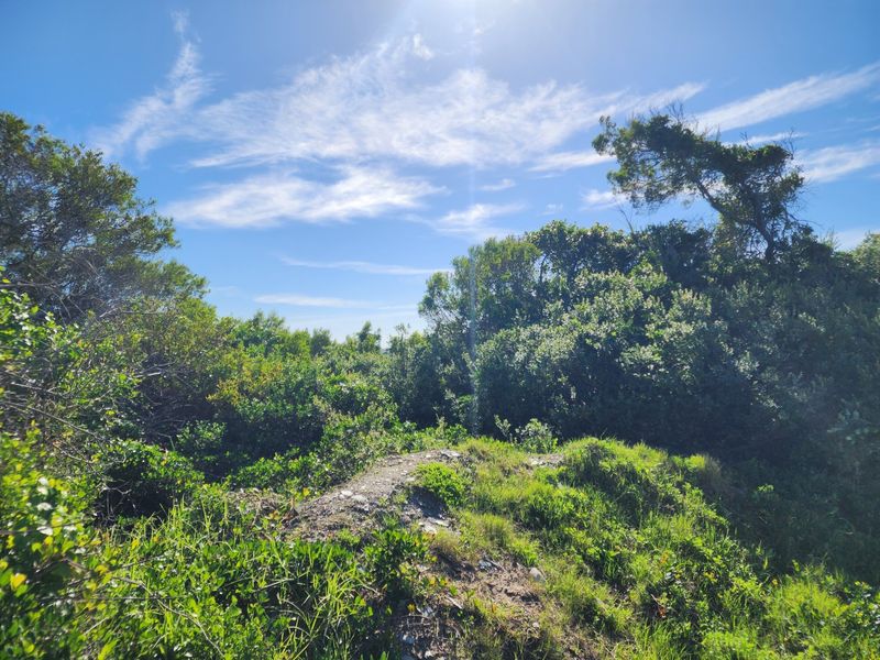 Vacant Land For Sale in Jeffreys Bay Eastern Cape - Photo 3