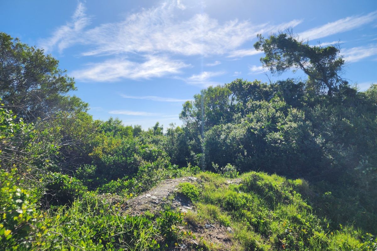 Vacant Land For Sale in Jeffreys Bay Eastern Cape - Photo 3