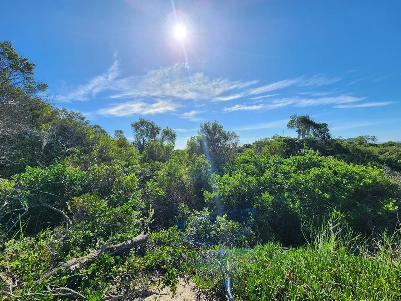 Vacant Land For Sale in Jeffreys Bay Eastern Cape - Photo 5