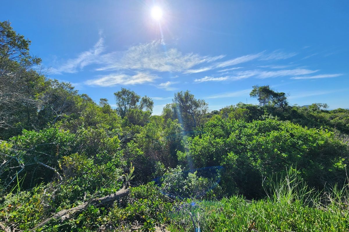 Vacant Land For Sale in Jeffreys Bay Eastern Cape - Photo 5