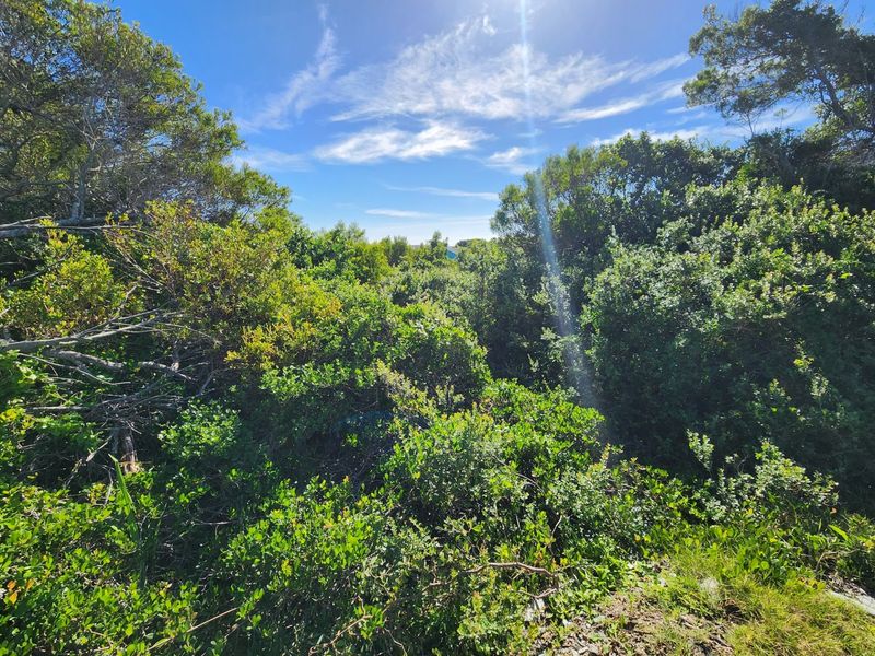 Vacant Land For Sale in Jeffreys Bay Eastern Cape - Photo 4