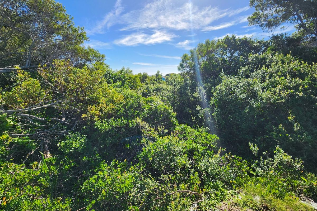 Vacant Land For Sale in Jeffreys Bay Eastern Cape - Photo 4