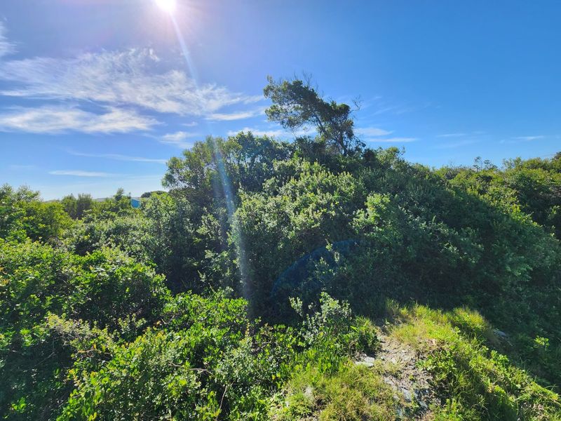 Vacant Land For Sale in Jeffreys Bay Eastern Cape - Photo 6