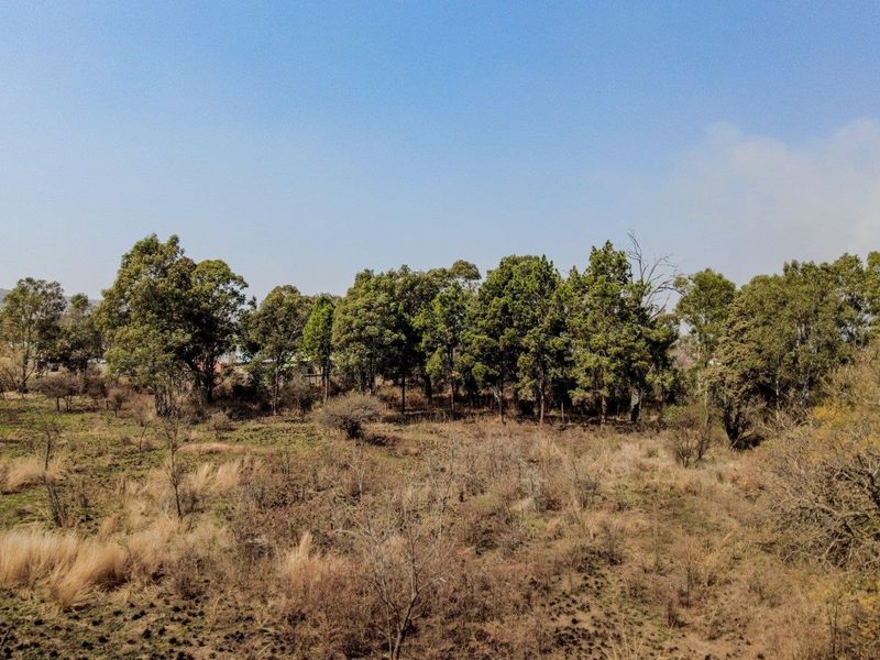 Six hectares level plot adjacent to ahighway and a busy arterial route in a fast-developing area - Photo 5