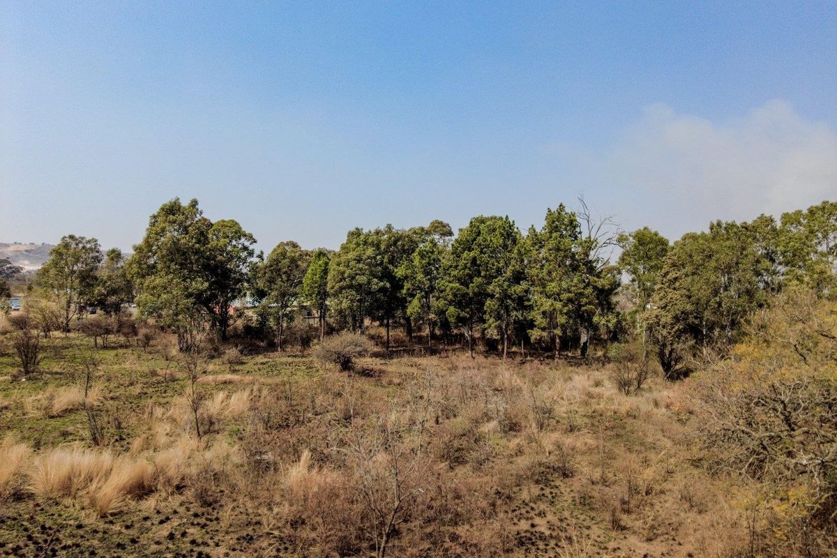 Six hectares level plot adjacent to ahighway and a busy arterial route in a fast-developing area - Photo 5