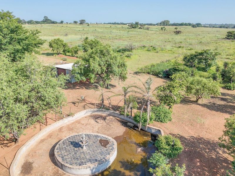 Excellent investment opportunity - fully fenced cattle/game farm with gorgeous homestead - Photo 10